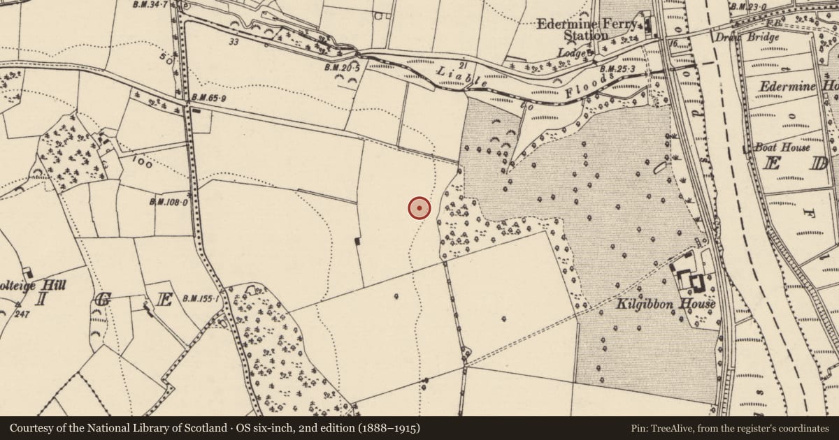 Ordnance Survey six-inch map, 2nd edition (1888–1915) covering the location of Ringfort - rath, Kilgibbon, County Wexford, with a pin at the register's coordinates