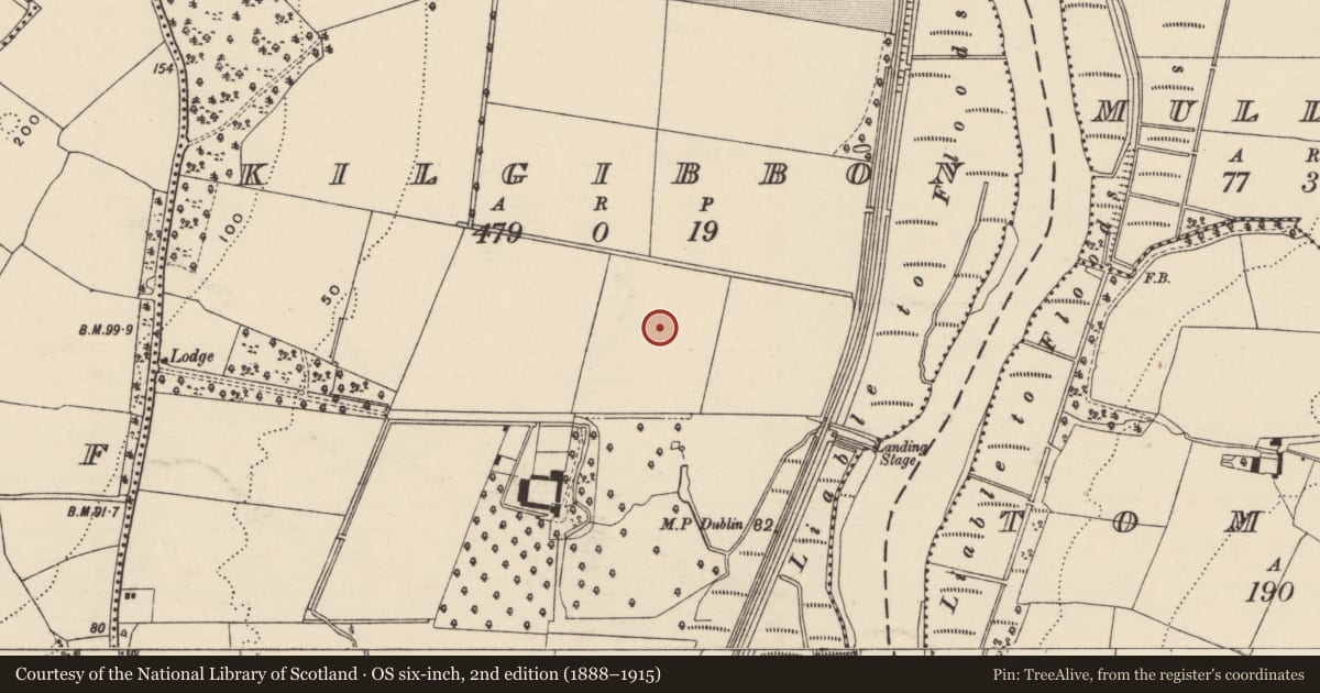 Ordnance Survey six-inch map, 2nd edition (1888–1915) covering the location of House - indeterminate date, Kilgibbon, County Wexford, with a pin at the register's coordinates