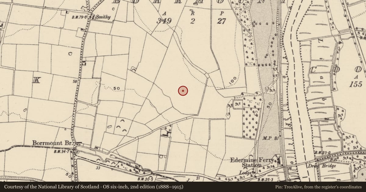 Ordnance Survey six-inch map, 2nd edition (1888–1915) covering the location of Ring-ditch, Borrmount, County Wexford, with a pin at the register's coordinates