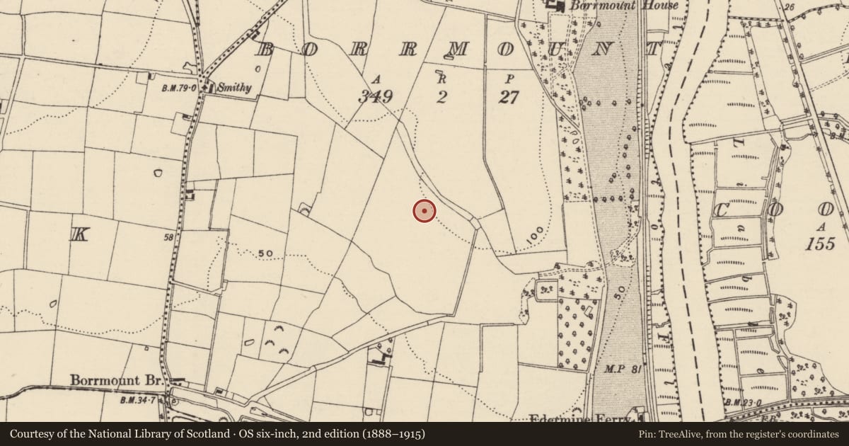 Ordnance Survey six-inch map, 2nd edition (1888–1915) covering the location of Enclosure, Borrmount, County Wexford, with a pin at the register's coordinates