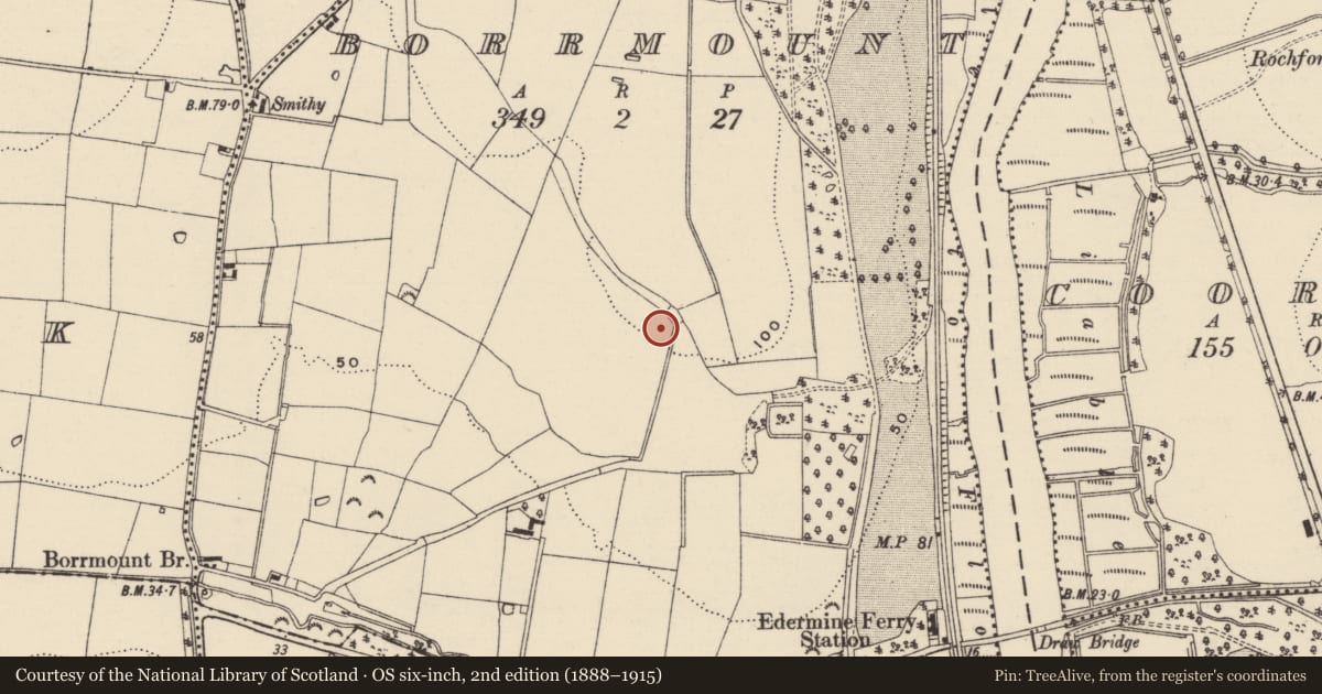 Ordnance Survey six-inch map, 2nd edition (1888–1915) covering the location of Enclosure, Borrmount, County Wexford, with a pin at the register's coordinates