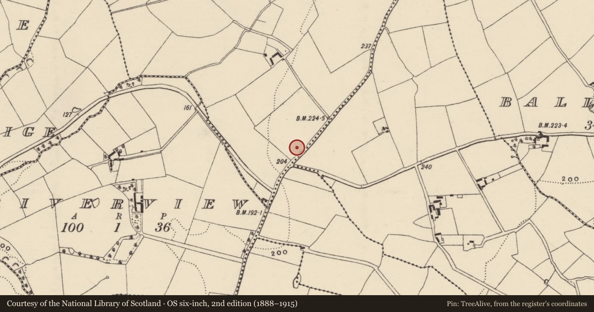 Ordnance Survey six-inch map, 2nd edition (1888–1915) covering the location of Enclosure, Monroe, County Wexford, with a pin at the register's coordinates