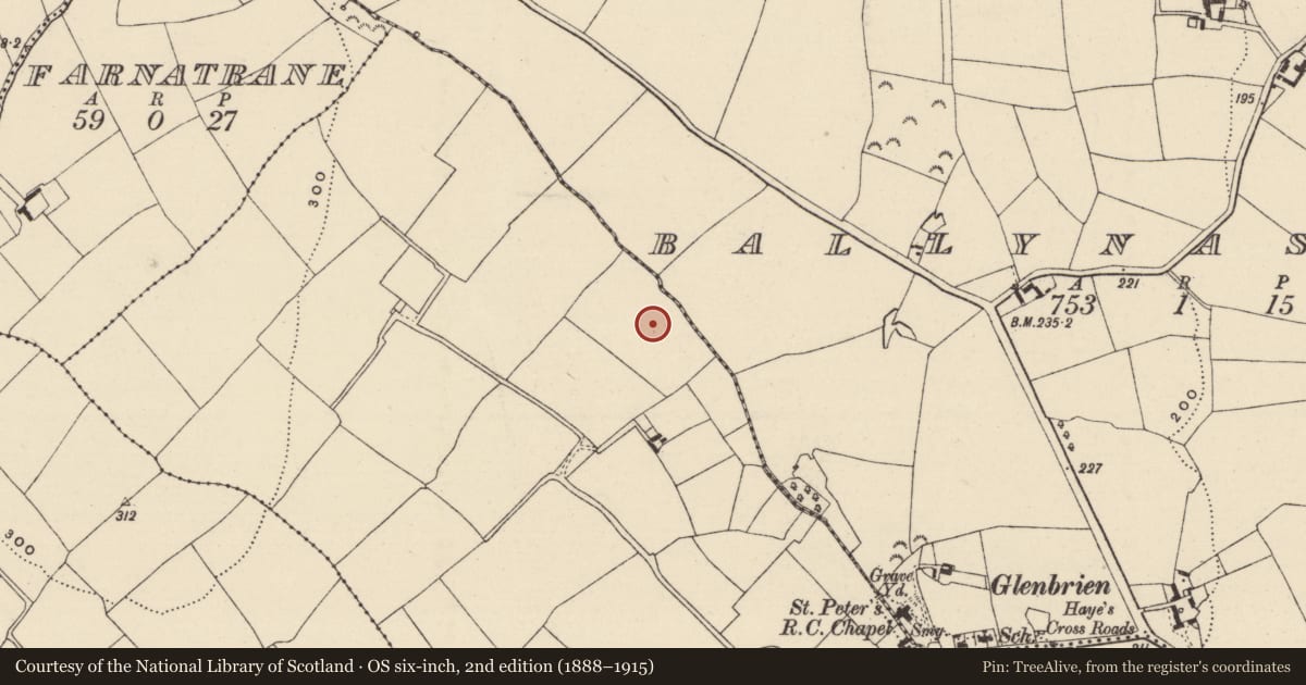 Ordnance Survey six-inch map, 2nd edition (1888–1915) covering the location of Ringfort - rath, Ballydonfin, County Wexford, with a pin at the register's coordinates