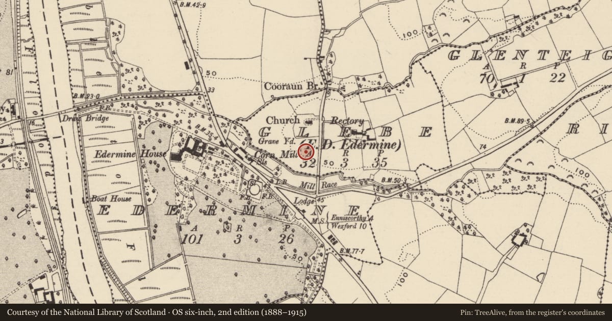 Ordnance Survey six-inch map, 2nd edition (1888–1915) covering the location of Excavation - miscellaneous, Glebe, County Wexford, with a pin at the register's coordinates