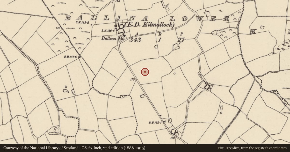 Ordnance Survey six-inch map, 2nd edition (1888–1915) covering the location of Enclosure, Ballina Lower, County Wexford, with a pin at the register's coordinates