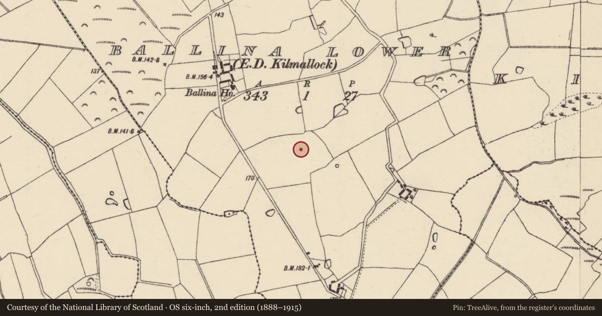 Ordnance Survey six-inch map, 2nd edition (1888–1915) covering the location of Ring-ditch, Ballina Lower, County Wexford, with a pin at the register's coordinates