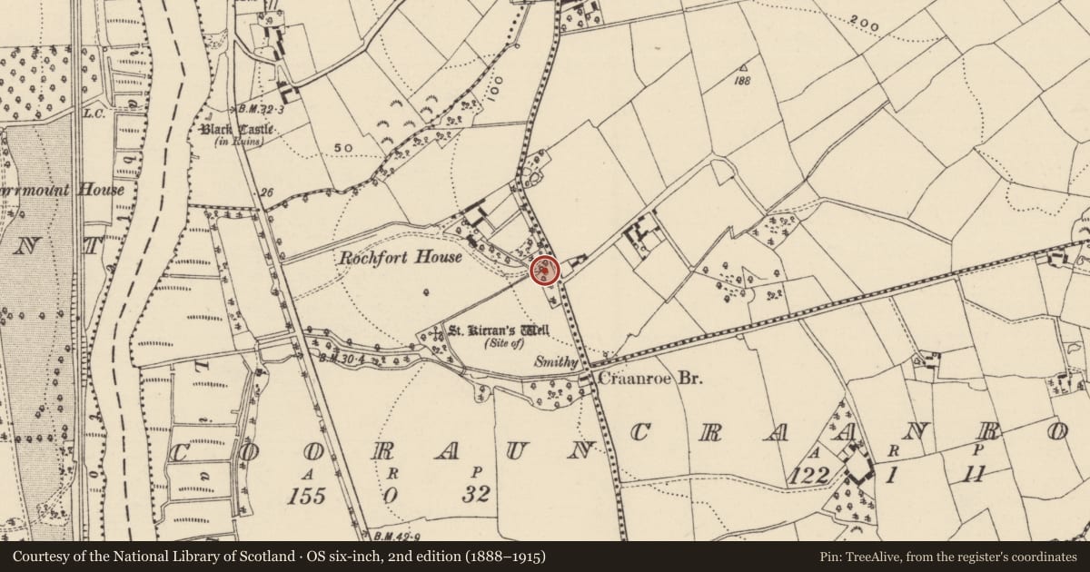 Ordnance Survey six-inch map, 2nd edition (1888–1915) covering the location of Ritual site - holy well, Cooraun, County Wexford, with a pin at the register's coordinates