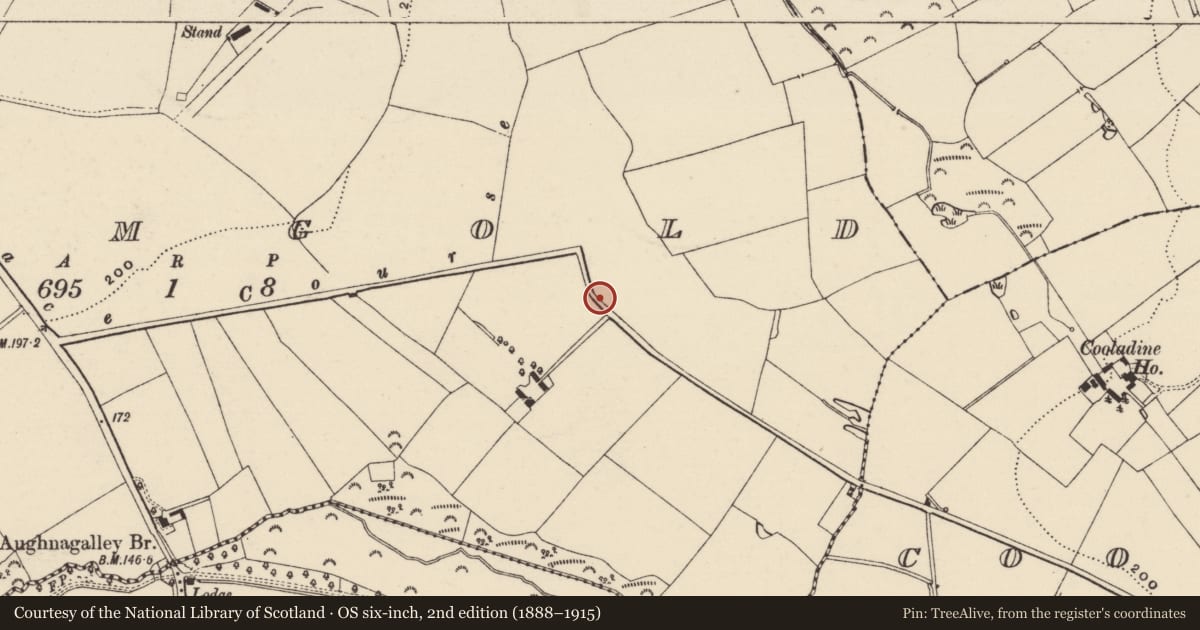 Ordnance Survey six-inch map, 2nd edition (1888–1915) covering the location of Hut site, Drumgold, County Wexford, with a pin at the register's coordinates
