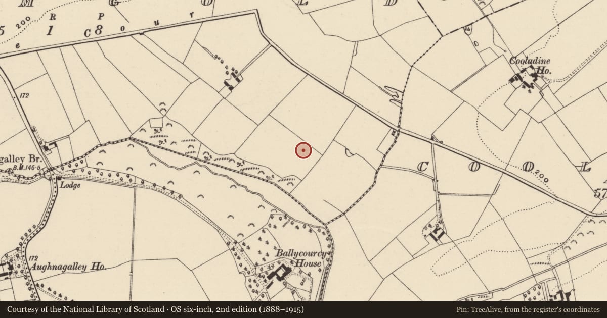 Ordnance Survey six-inch map, 2nd edition (1888–1915) covering the location of Excavation - miscellaneous, Drumgold, County Wexford, with a pin at the register's coordinates