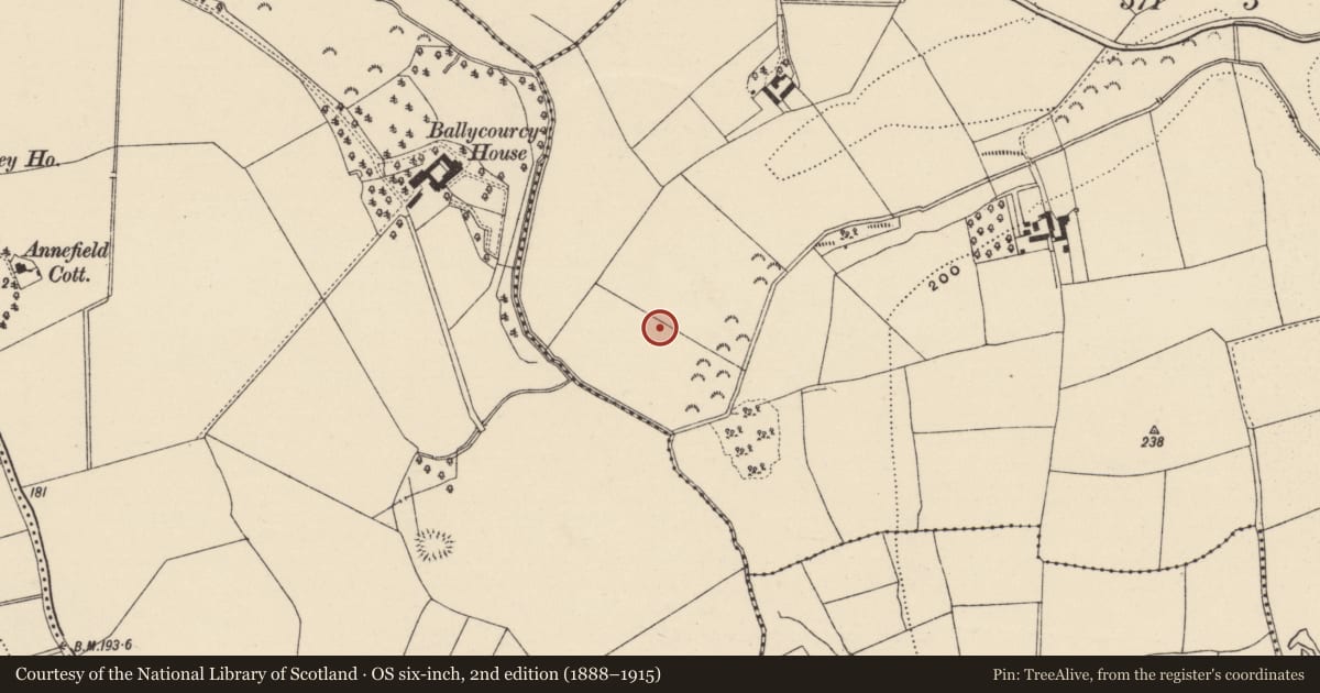 Ordnance Survey six-inch map, 2nd edition (1888–1915) covering the location of Structure, Cooladine, County Wexford, with a pin at the register's coordinates