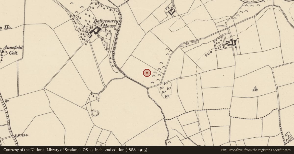 Ordnance Survey six-inch map, 2nd edition (1888–1915) covering the location of Hut site, Cooladine, County Wexford, with a pin at the register's coordinates