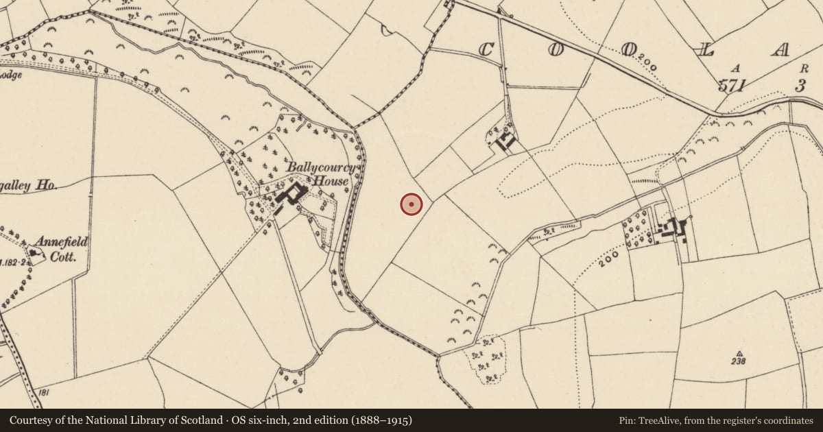 Ordnance Survey six-inch map, 2nd edition (1888–1915) covering the location of Hearth, Cooladine, County Wexford, with a pin at the register's coordinates