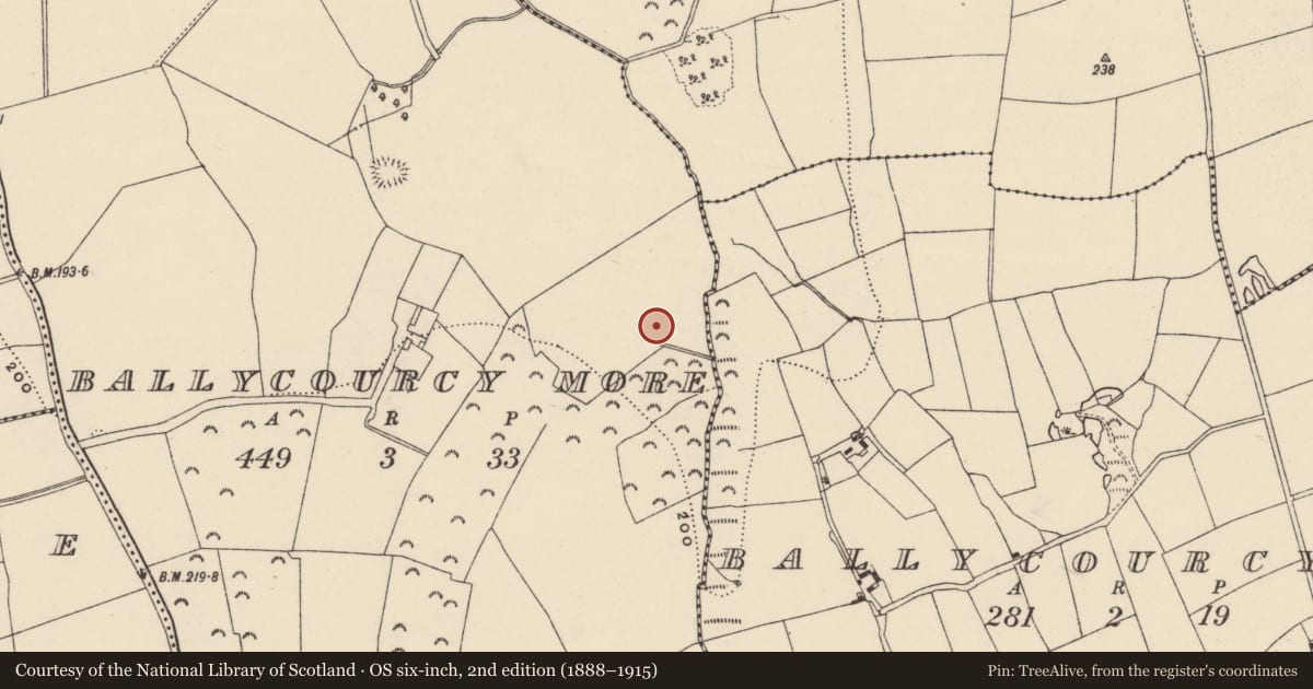 Ordnance Survey six-inch map, 2nd edition (1888–1915) covering the location of Fulacht fia, Ballycourcy More, County Wexford, with a pin at the register's coordinates