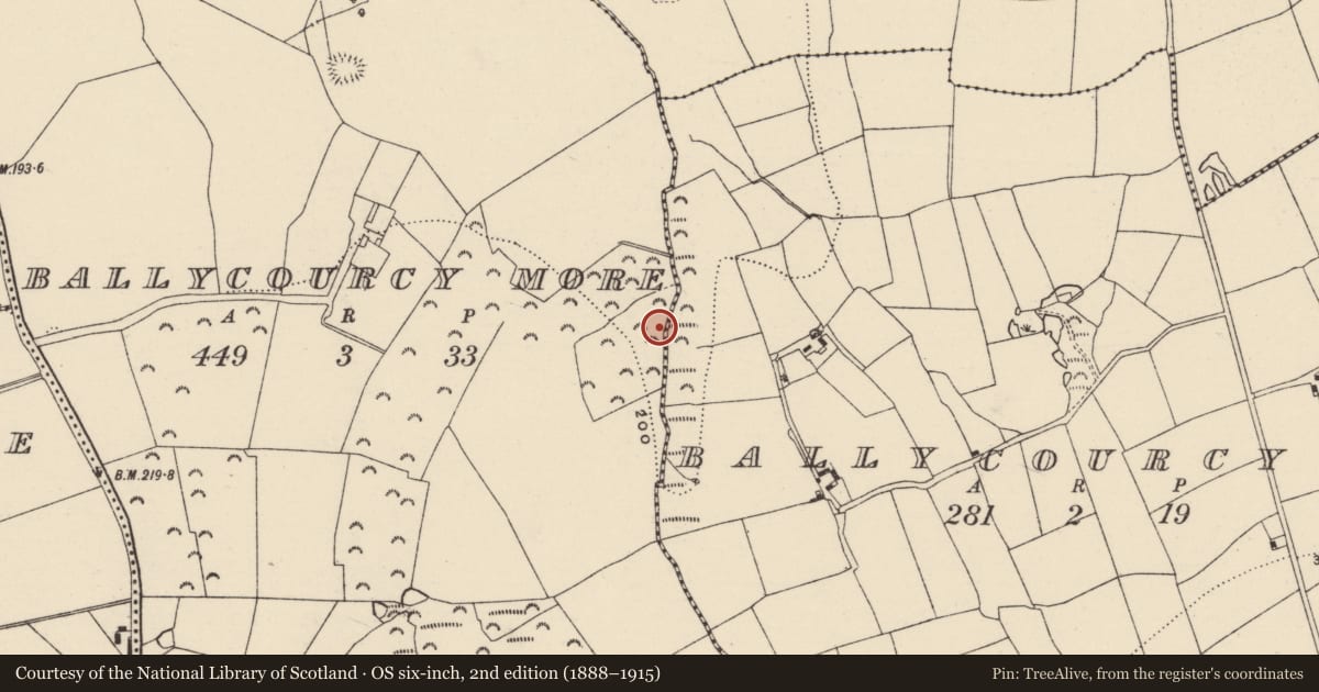 Ordnance Survey six-inch map, 2nd edition (1888–1915) covering the location of Burnt mound, Ballycourcy More, County Wexford, with a pin at the register's coordinates