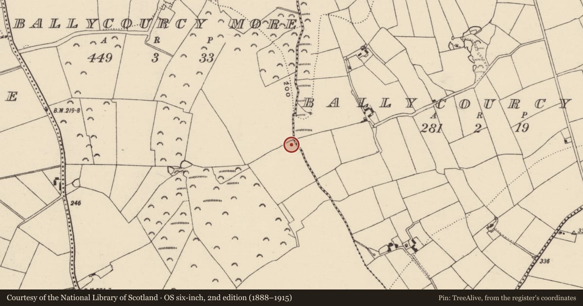 Ordnance Survey six-inch map, 2nd edition (1888–1915) covering the location of Fulacht fia, Ballycourcy More, County Wexford, with a pin at the register's coordinates