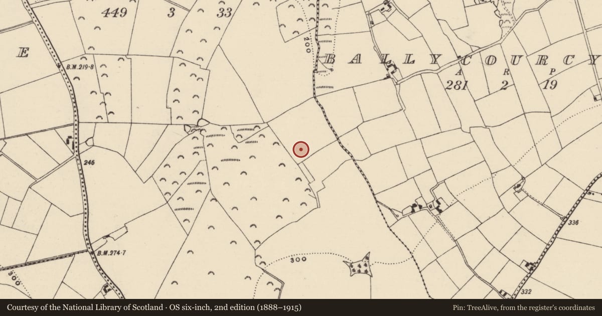 Ordnance Survey six-inch map, 2nd edition (1888–1915) covering the location of Habitation site, Ballycourcy More, County Wexford, with a pin at the register's coordinates