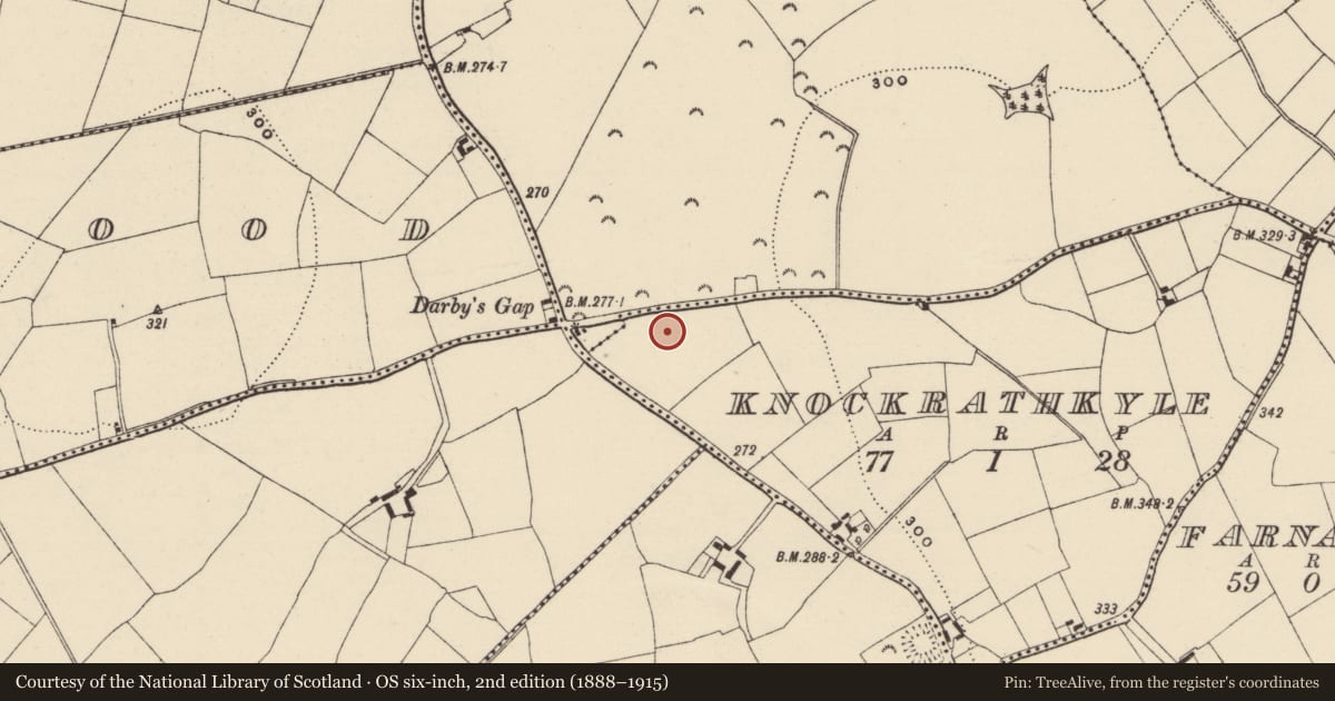 Ordnance Survey six-inch map, 2nd edition (1888–1915) covering the location of Ring-ditch, Knockrathkyle, County Wexford, with a pin at the register's coordinates