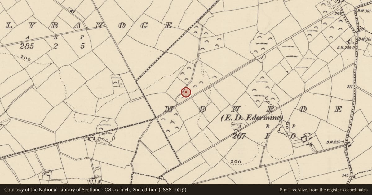Ordnance Survey six-inch map, 2nd edition (1888–1915) covering the location of Fulacht fia, Monroe, County Wexford, with a pin at the register's coordinates