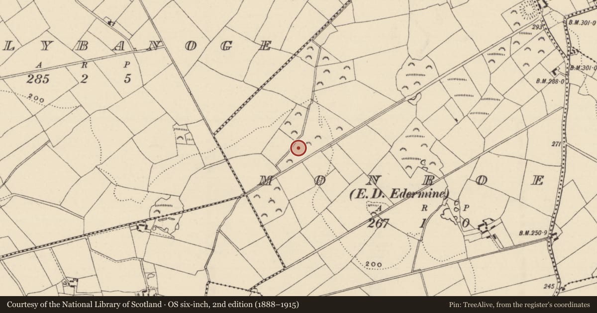 Ordnance Survey six-inch map, 2nd edition (1888–1915) covering the location of Burnt mound, Monroe, County Wexford, with a pin at the register's coordinates