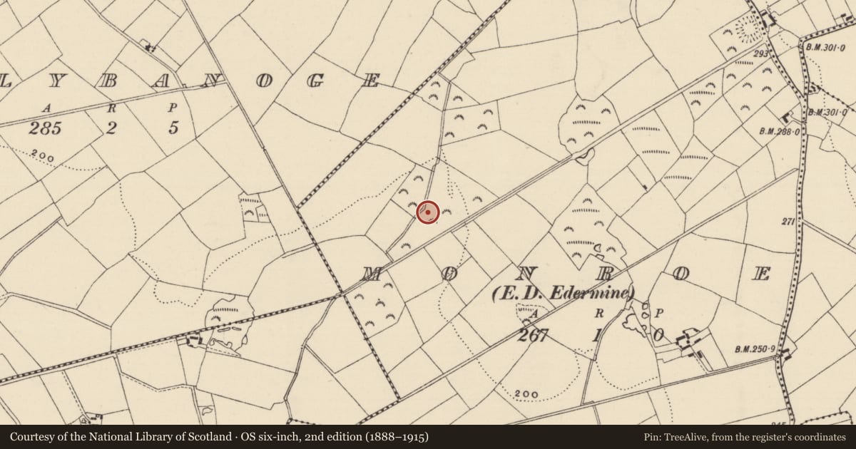 Ordnance Survey six-inch map, 2nd edition (1888–1915) covering the location of Burnt mound, Monroe, County Wexford, with a pin at the register's coordinates