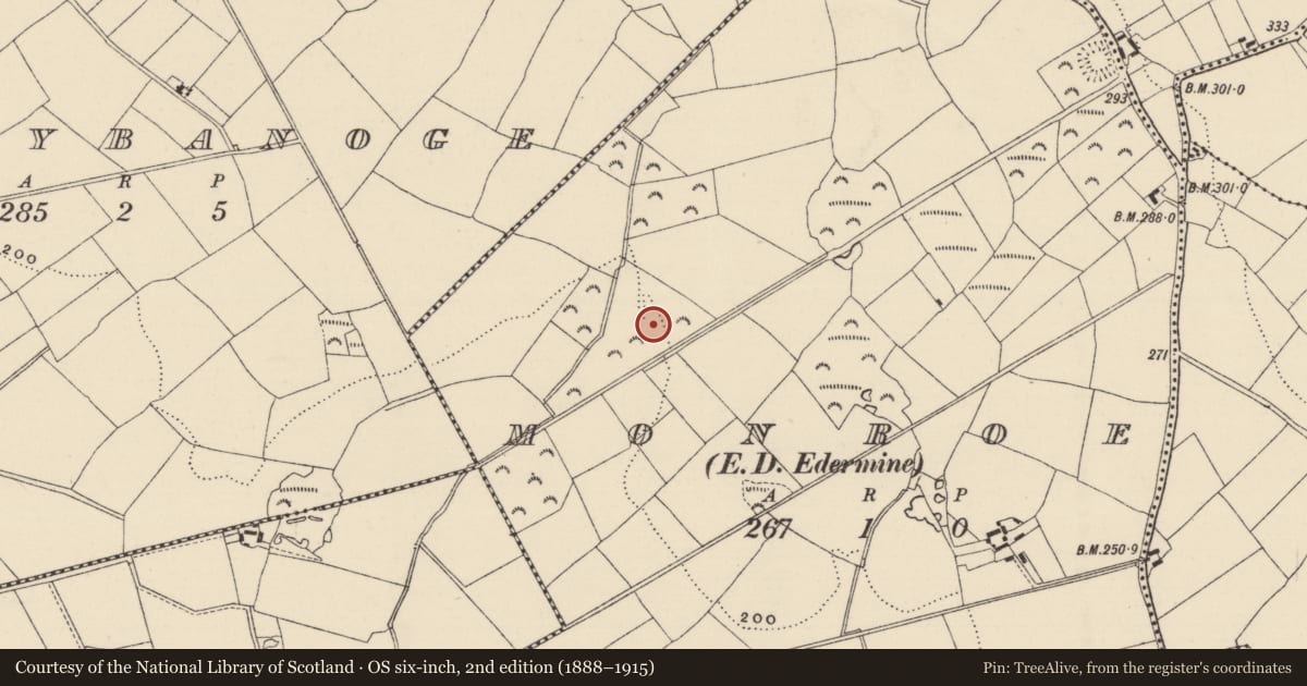 Ordnance Survey six-inch map, 2nd edition (1888–1915) covering the location of Fulacht fia, Monroe, County Wexford, with a pin at the register's coordinates