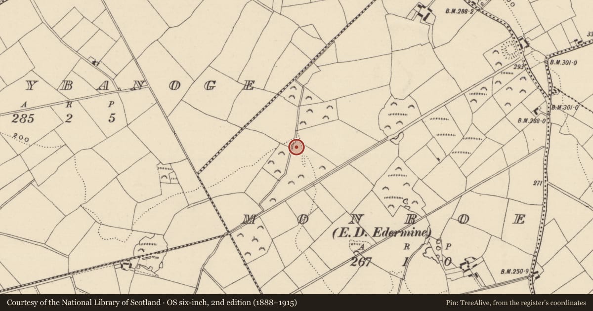Ordnance Survey six-inch map, 2nd edition (1888–1915) covering the location of Fulacht fia, Monroe, County Wexford, with a pin at the register's coordinates