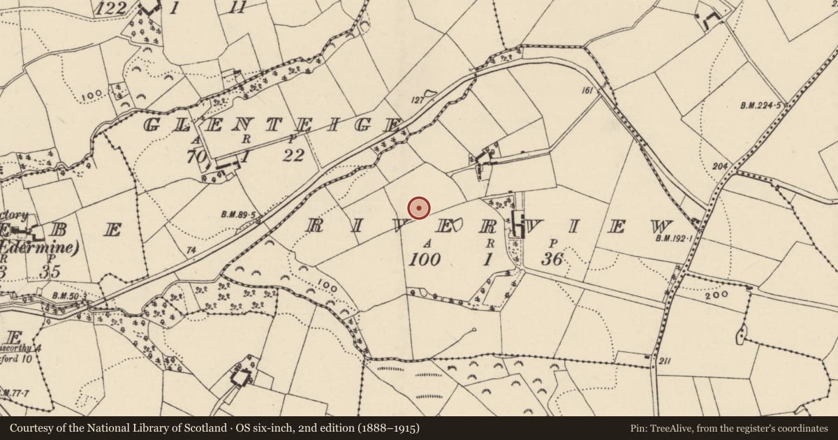 Ordnance Survey six-inch map, 2nd edition (1888–1915) covering the location of Excavation - miscellaneous, Riverview, County Wexford, with a pin at the register's coordinates