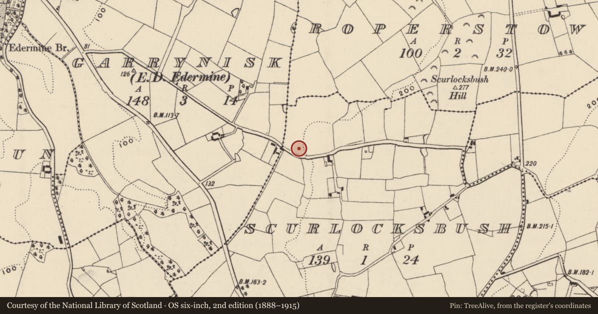 Ordnance Survey six-inch map, 2nd edition (1888–1915) covering the location of Fulacht fia, Scurlocksbush, County Wexford, with a pin at the register's coordinates