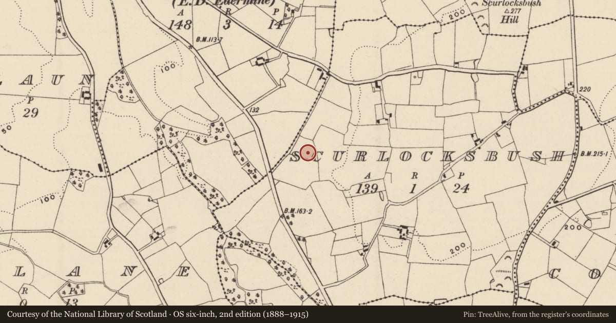 Ordnance Survey six-inch map, 2nd edition (1888–1915) covering the location of Fulacht fia, Scurlocksbush, County Wexford, with a pin at the register's coordinates