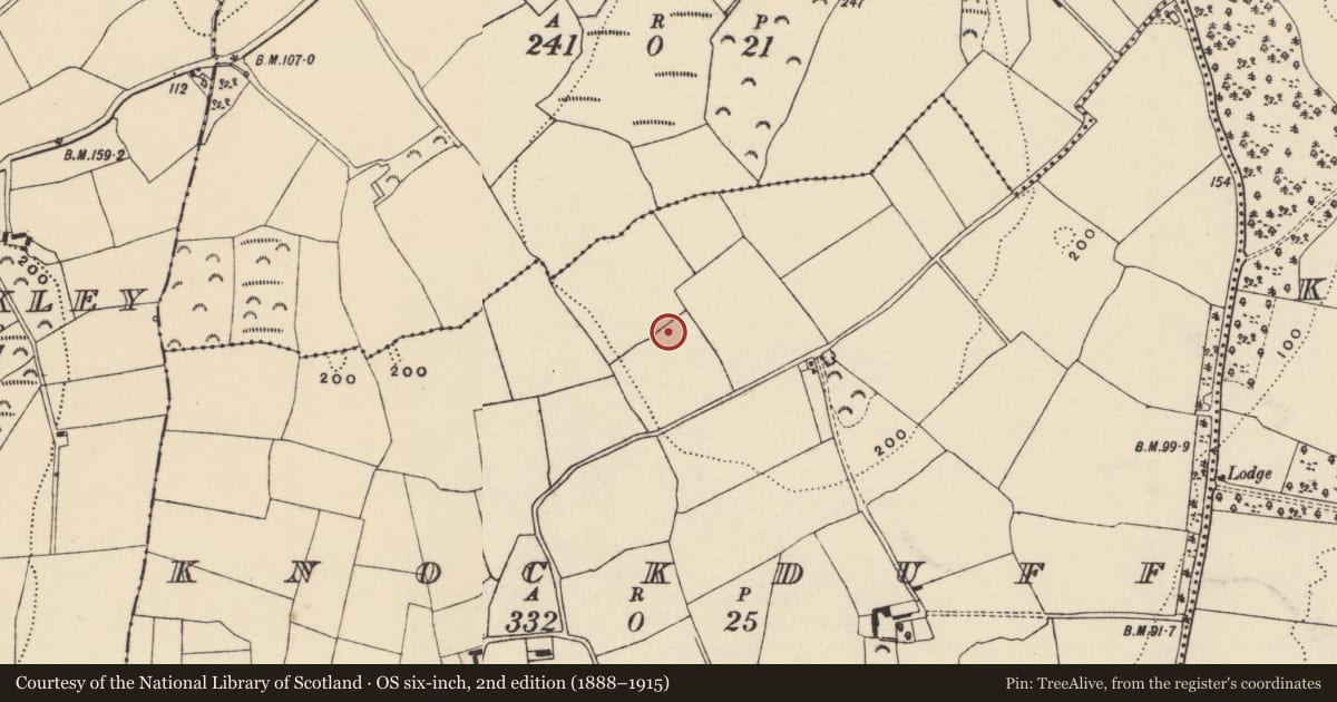 Ordnance Survey six-inch map, 2nd edition (1888–1915) covering the location of Burnt spread, Knockduff, County Wexford, with a pin at the register's coordinates