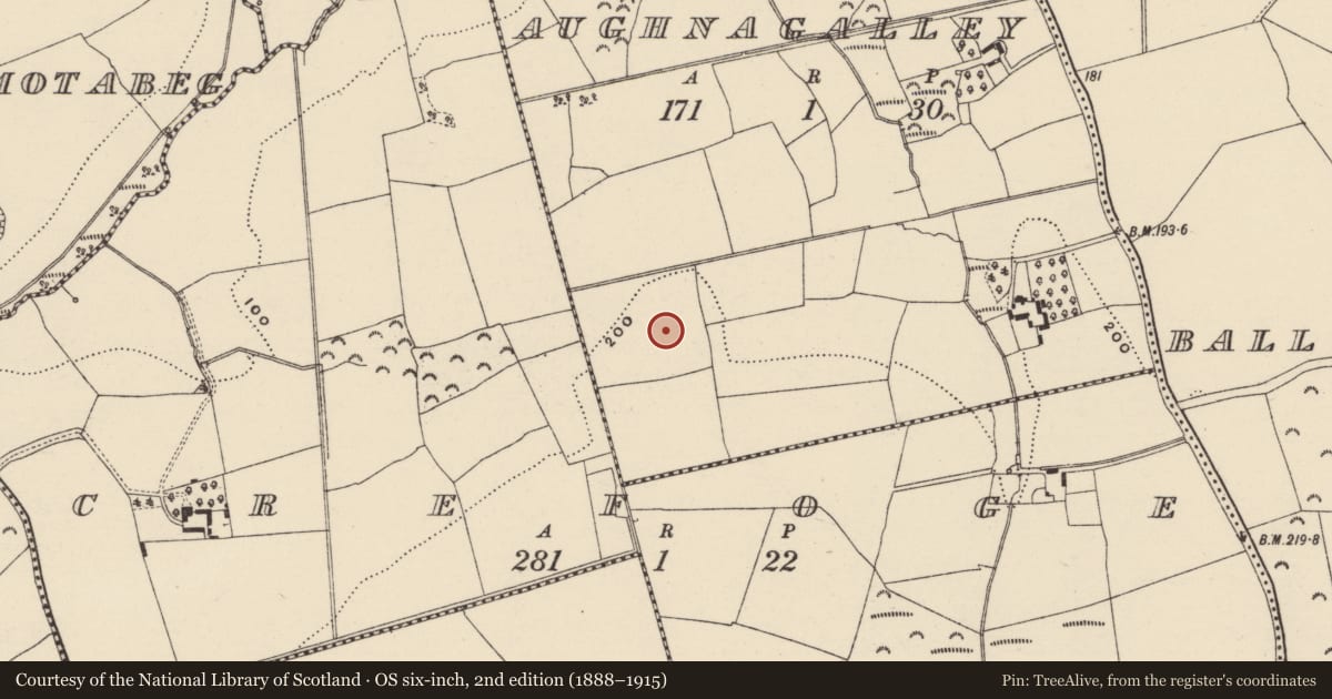 Ordnance Survey six-inch map, 2nd edition (1888–1915) covering the location of Enclosure, Aughnagalley, County Wexford, with a pin at the register's coordinates