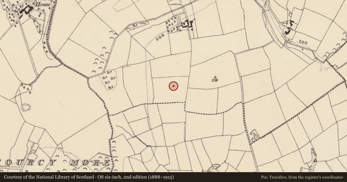 Ordnance Survey six-inch map, 2nd edition (1888–1915) covering the location of Enclosure, Cooladine, County Wexford, with a pin at the register's coordinates