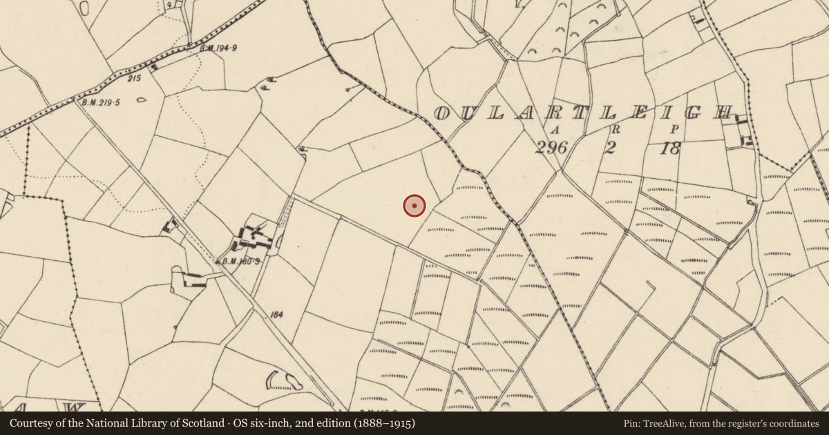 Ordnance Survey six-inch map, 2nd edition (1888–1915) covering the location of Enclosure, Clonmore Lower, County Wexford, with a pin at the register's coordinates