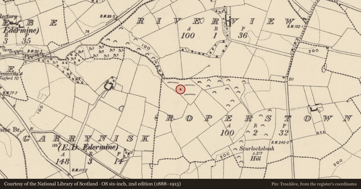 Ordnance Survey six-inch map, 2nd edition (1888–1915) covering the location of Fulacht fia, Roperstown, County Wexford, with a pin at the register's coordinates