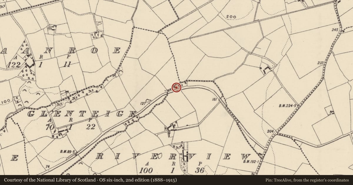 Ordnance Survey six-inch map, 2nd edition (1888–1915) covering the location of Fulacht fia, Riverview, County Wexford, with a pin at the register's coordinates