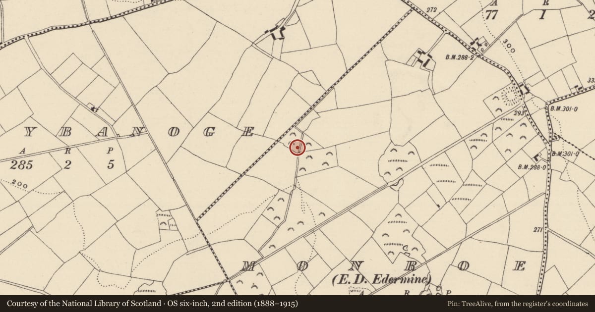 Ordnance Survey six-inch map, 2nd edition (1888–1915) covering the location of Fulacht fia, Monroe, County Wexford, with a pin at the register's coordinates