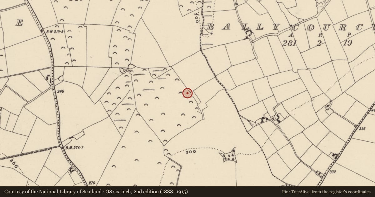 Ordnance Survey six-inch map, 2nd edition (1888–1915) covering the location of Excavation - miscellaneous, Ballycourcy More, County Wexford, with a pin at the register's coordinates