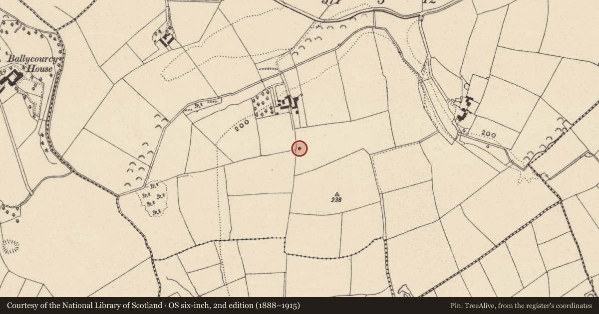 Ordnance Survey six-inch map, 2nd edition (1888–1915) covering the location of Enclosure, Cooladine, County Wexford, with a pin at the register's coordinates