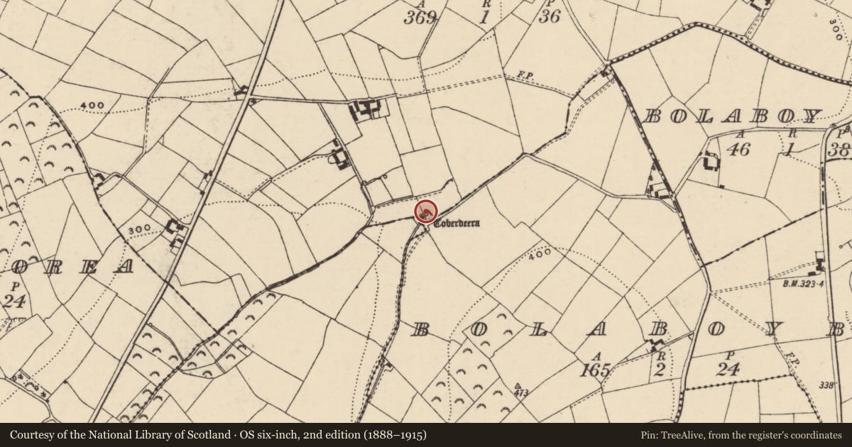 Ordnance Survey six-inch map, 2nd edition (1888–1915) covering the location of Well, County Wexford, with a pin at the register's coordinates
