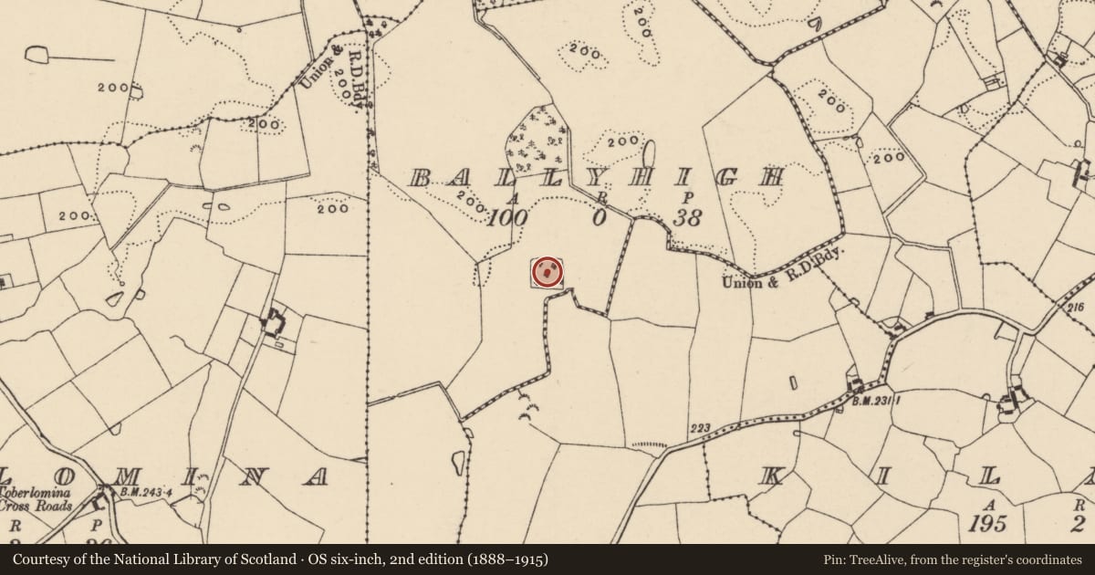 Ordnance Survey six-inch map, 2nd edition (1888–1915) covering the location of Moated site, Ballyhigh, County Wexford, with a pin at the register's coordinates