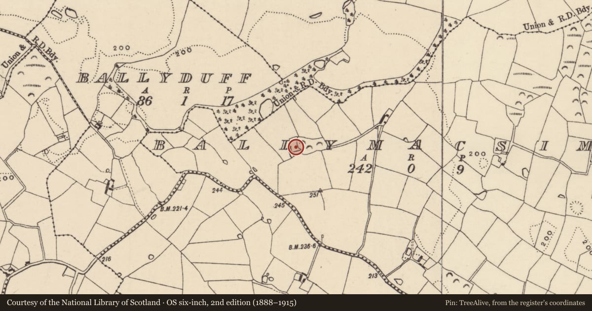 Ordnance Survey six-inch map, 2nd edition (1888–1915) covering the location of Moated site, Ballymacsimon, County Wexford, with a pin at the register's coordinates