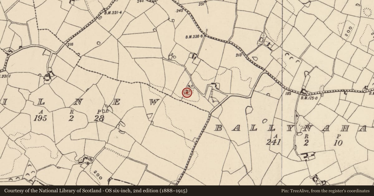 Ordnance Survey six-inch map, 2nd edition (1888–1915) covering the location of Moated site, Ballynahask, County Wexford, with a pin at the register's coordinates