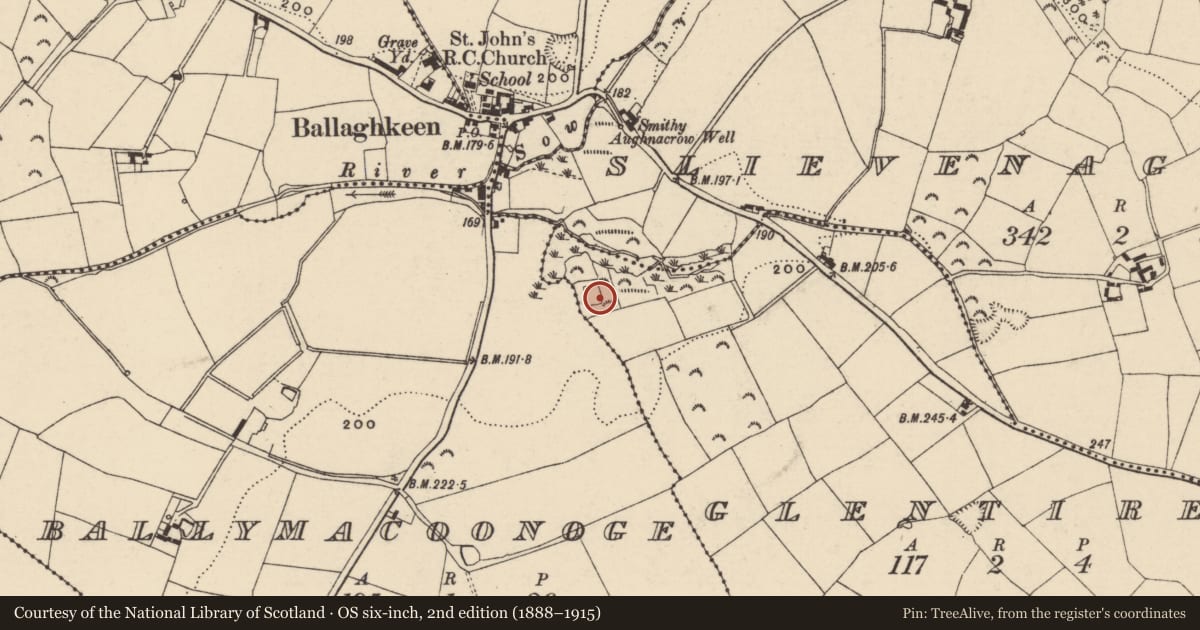Ordnance Survey six-inch map, 2nd edition (1888–1915) covering the location of Moated site, Glentire, County Wexford, with a pin at the register's coordinates