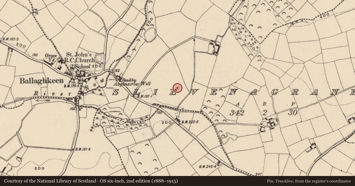 Ordnance Survey six-inch map, 2nd edition (1888–1915) covering the location of Ring-ditch, Slievenagrane, County Wexford, with a pin at the register's coordinates