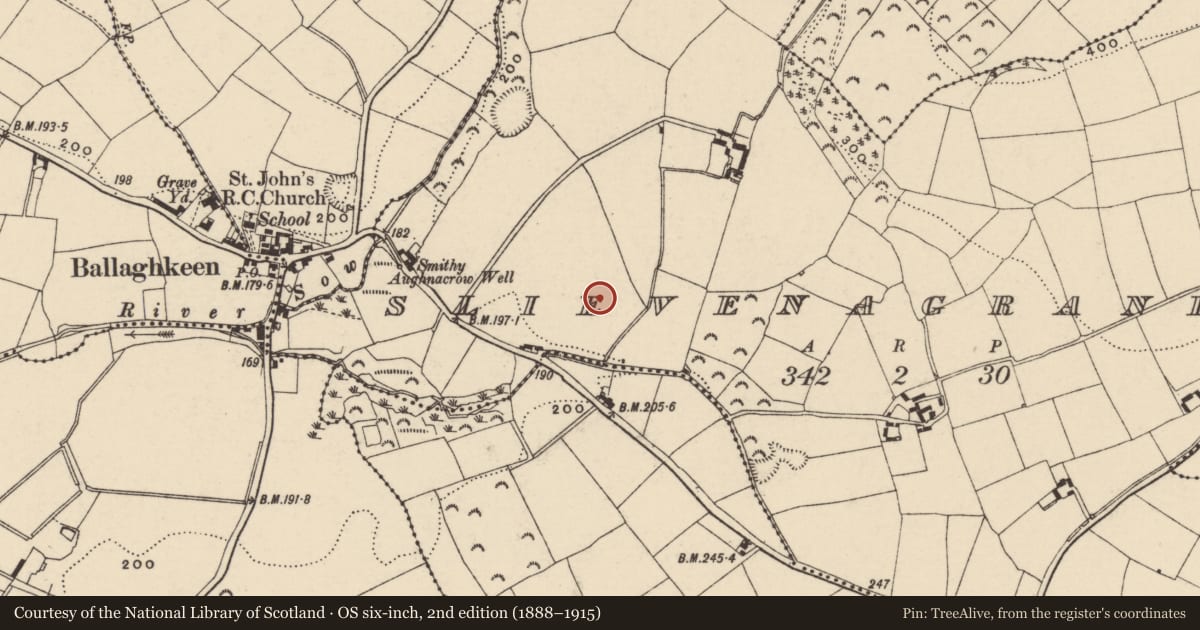 Ordnance Survey six-inch map, 2nd edition (1888–1915) covering the location of Ring-ditch, Slievenagrane, County Wexford, with a pin at the register's coordinates