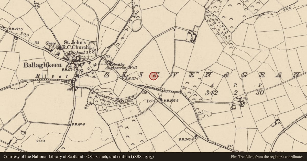 Ordnance Survey six-inch map, 2nd edition (1888–1915) covering the location of Ring-ditch, Slievenagrane, County Wexford, with a pin at the register's coordinates