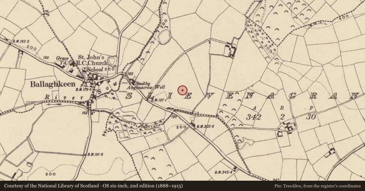 Ordnance Survey six-inch map, 2nd edition (1888–1915) covering the location of Ring-ditch, Slievenagrane, County Wexford, with a pin at the register's coordinates