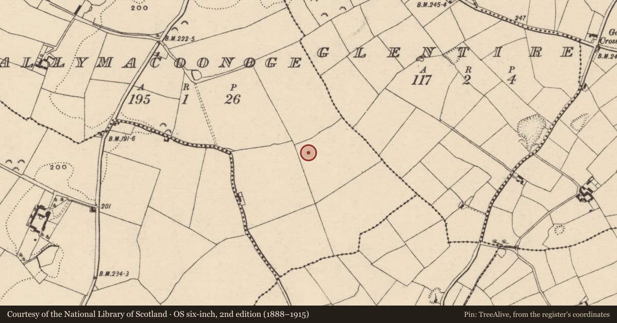 Ordnance Survey six-inch map, 2nd edition (1888–1915) covering the location of Ring-ditch, Ballymacoonoge, County Wexford, with a pin at the register's coordinates
