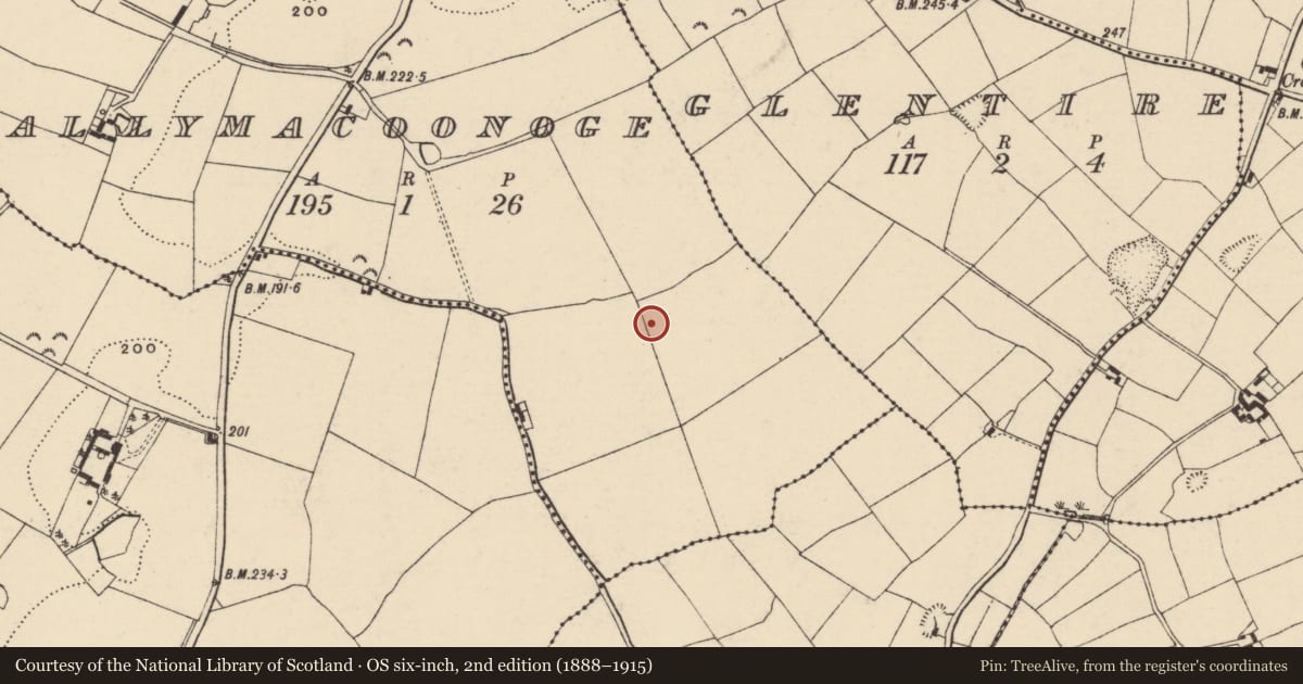 Ordnance Survey six-inch map, 2nd edition (1888–1915) covering the location of Ring-ditch, Ballymacoonoge, County Wexford, with a pin at the register's coordinates