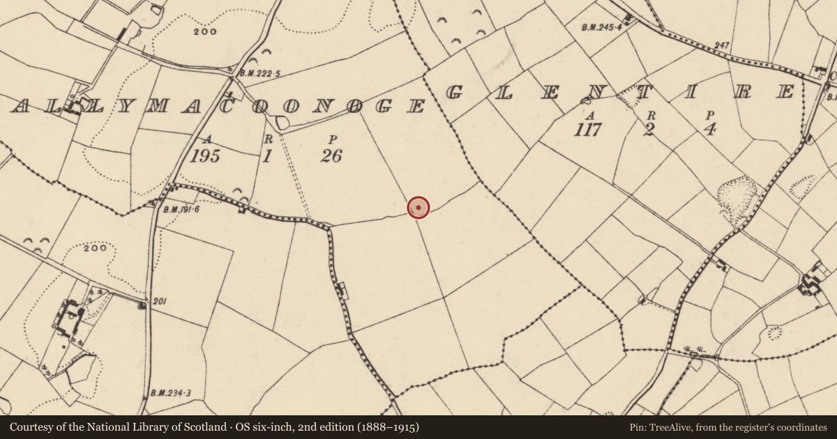 Ordnance Survey six-inch map, 2nd edition (1888–1915) covering the location of Ring-ditch, Ballymacoonoge, County Wexford, with a pin at the register's coordinates